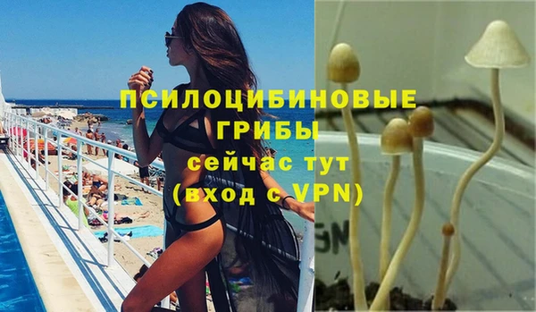 прущие грибы Белоозёрский